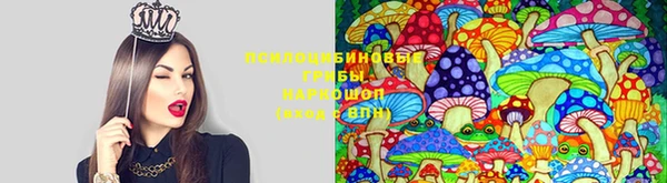 гидра Алексеевка