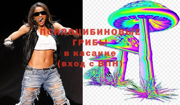 гидра Алексеевка