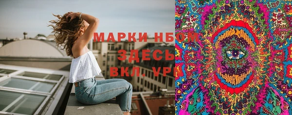 apvp Алексин